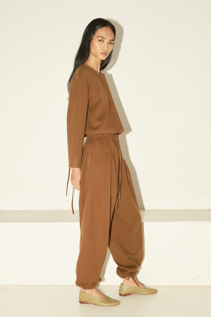 Avellana Brushed Wool Kendo Pants – DATURA