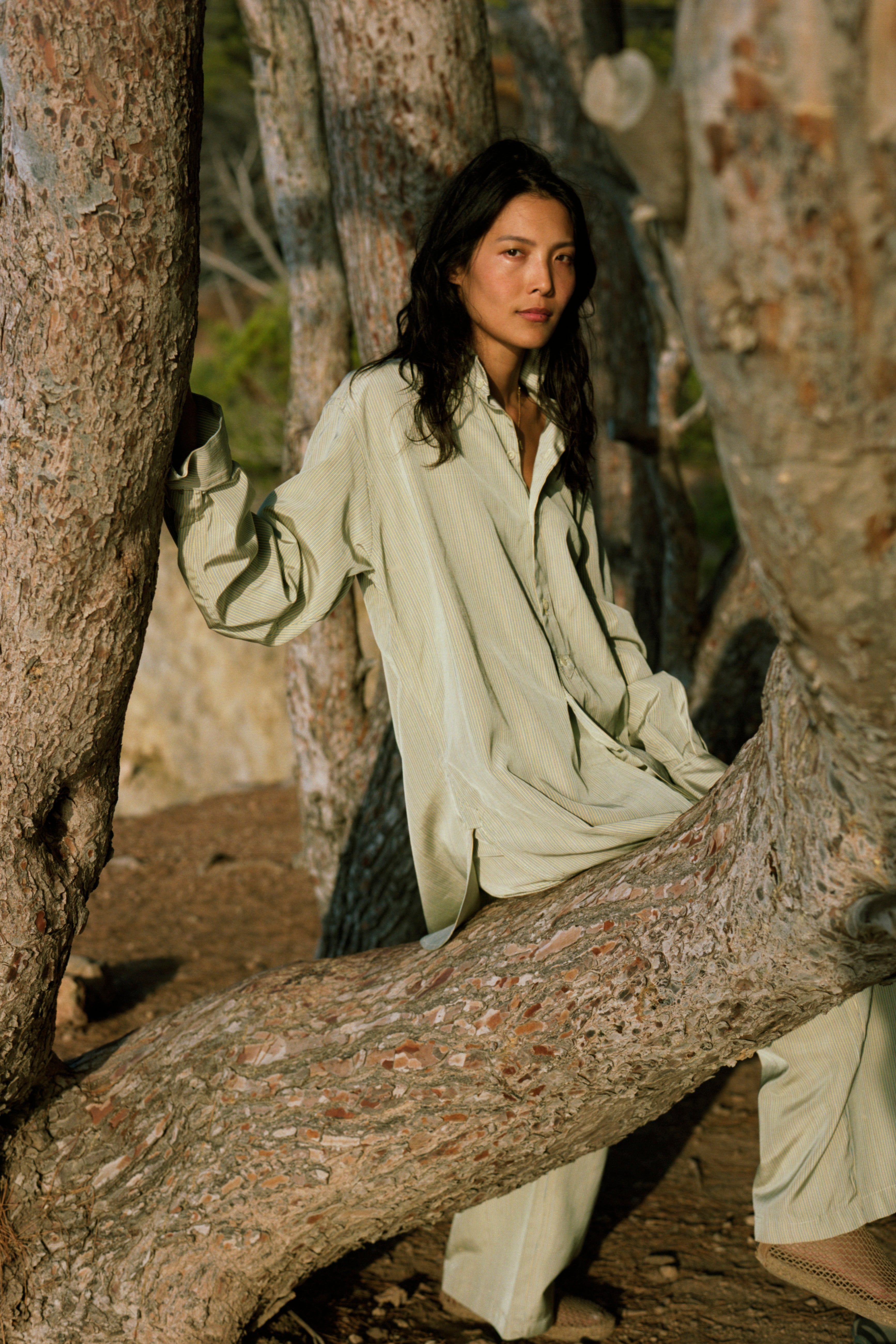 Avellana Brushed Wool Vest